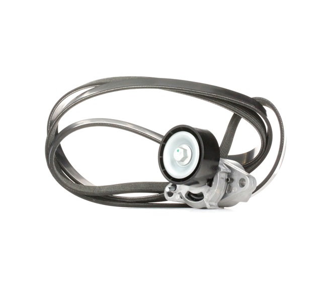 OEM nummer 1192 500 QAA - Drivremssats 542R0056 TOYOTA, RENAULT, NISSAN, DACIA, RENAULT TRUCKS
