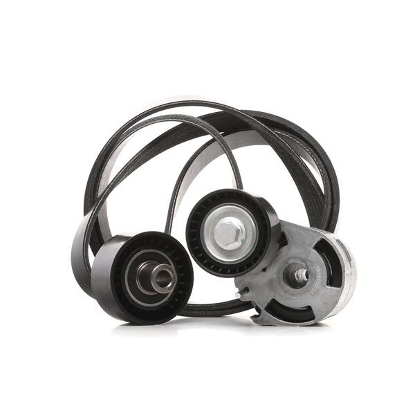 Numéro OEM Y401 15 908 - Jeu de courroies trapézoïdales à nervures 542R0062 PEUGEOT, CITROËN, BMW, AUDI, MERCEDES-BENZ