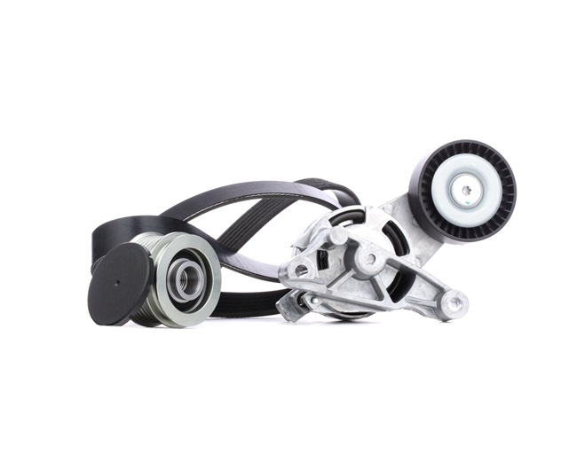 Kit Cinghie Poly-V 542R0063 RIDEX Volkswagen Passat B6 Variant (3C5) 2.0 TDI 2007 120 CV