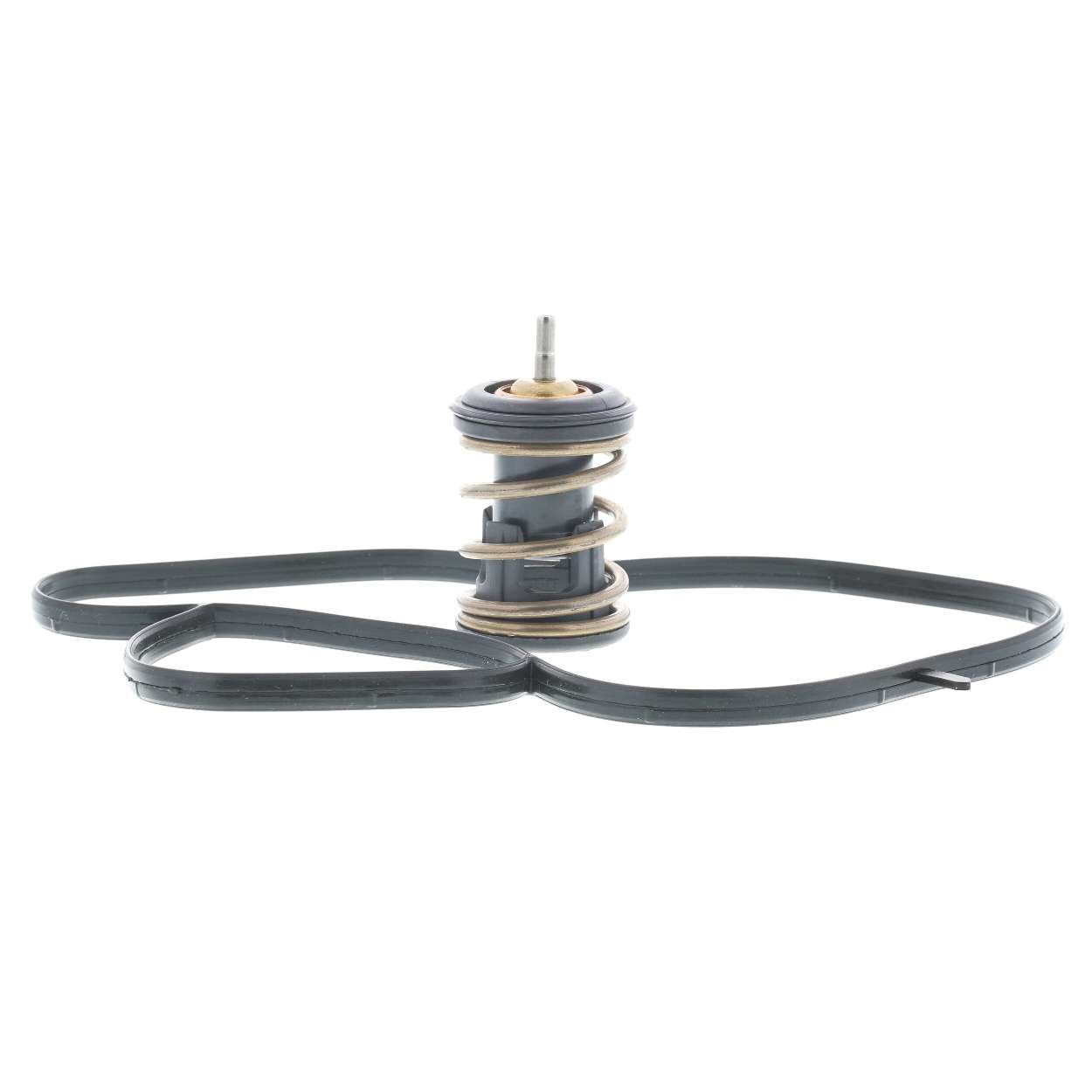 MOTORAD 973-97K thermostat AUDI A3 3/5 portes (8V1, 8VK) 1.0 TFSI 115CV 2016