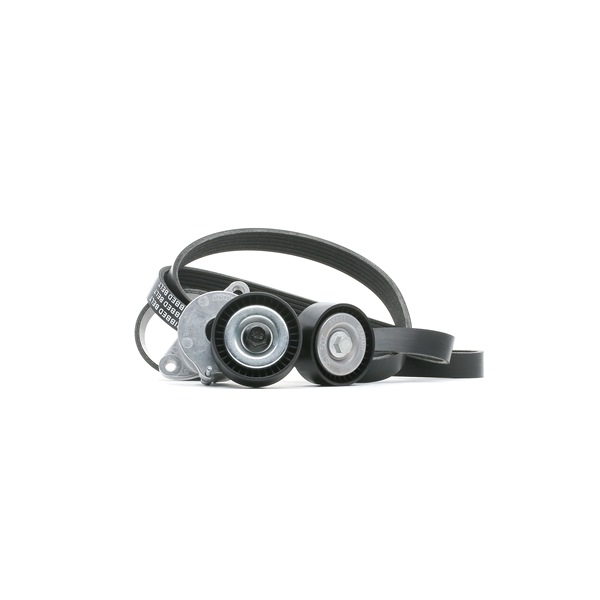 Número OEM 55 56 2866 - Jogo de correias trapezoidais estriadas 542R0076 VW, OPEL, AUDI, FORD, CHEVROLET