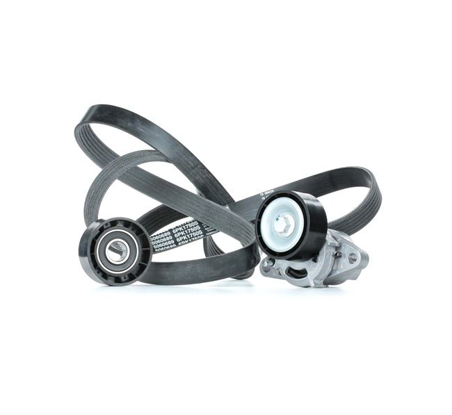 Drivremssats SKRBS-1200081 STARK RENAULT Scénic I (JA0/1, FA0) 1.8 16V 2001 115 hk