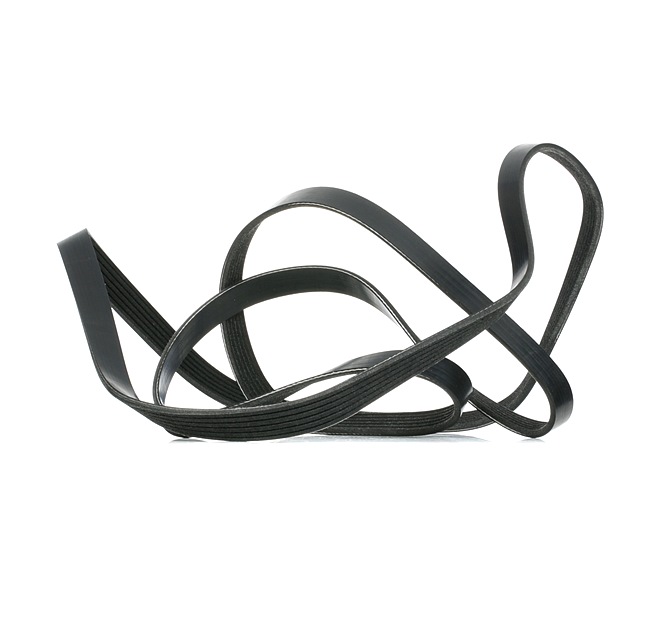 Keilrippenriemensatz 542R0084 RIDEX FORD Kuga Mk1 SUV 2.0 TDCi 4x4 2011 140 PS