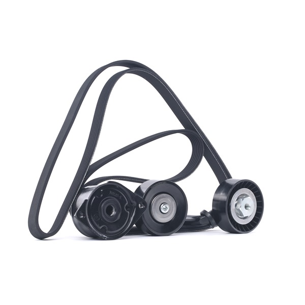 Jogo de correias trapezoidais estriadas 542R0089 RIDEX BMW 7 (E65, E66, E67) 730d 3.0 2005 218 cv