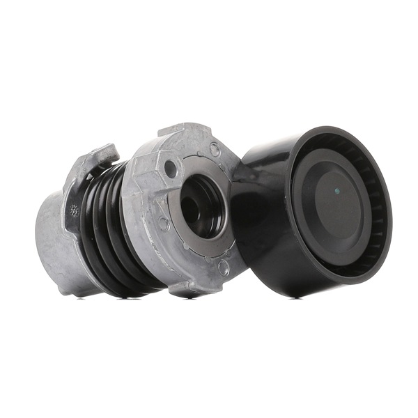 Spännrulle, aggregatrem 310T0290 RIDEX RENAULT Megane III Grandtour (KZ) 1.2 TCe (KZ2B, KZ11) 2012 116 hk