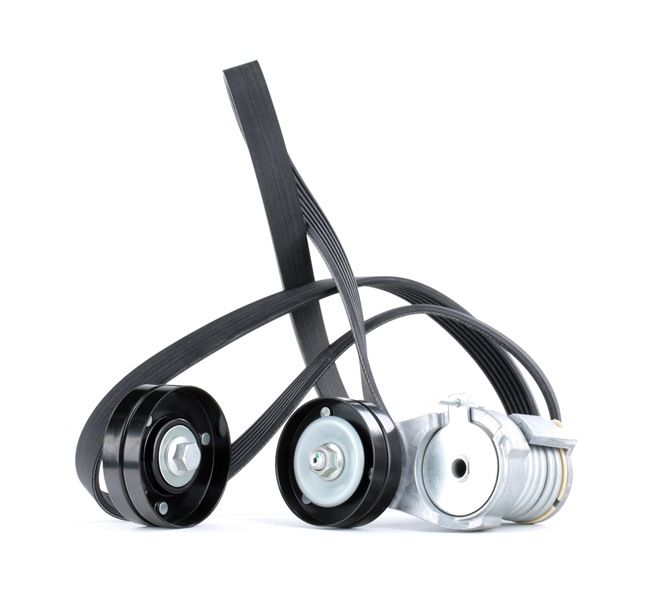 Kit Cinghie Poly-V 542R0107 RIDEX Volkswagen Golf IV Hatchback (1J1) 1.6 FSI 2005 110 CV