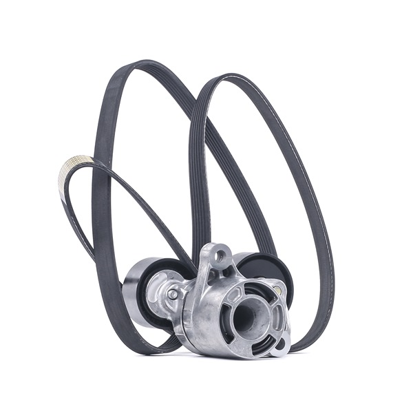Aandrijfriem 542R0121 RIDEX BMW X3 (F25) sDrive 18 d 2013 136 Pk