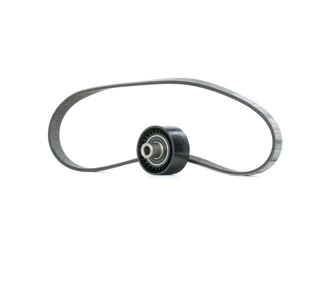 OEM nummer 5751 E6 - Drivremssats SKRBS-1200146 VW, TOYOTA, PEUGEOT, OPEL, CITROËN