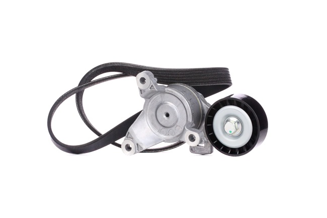 Rippenriemen 542R0148 RIDEX CITROËN C4 I Picasso (UD) 1.8 i 16V 2008 125 PS