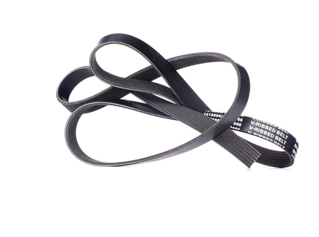 RIDEX 305P0402 Serpentine belt ALFA ROMEO 155 (167) 1.7 T.S. 16V 140 hp Petrol 1996