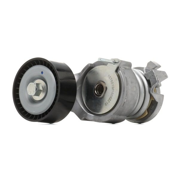 Numero OEM 03E 903 133 A - Rullo tenditore cinghia Poly-V 310T0295 AUDI, SEAT, SKODA