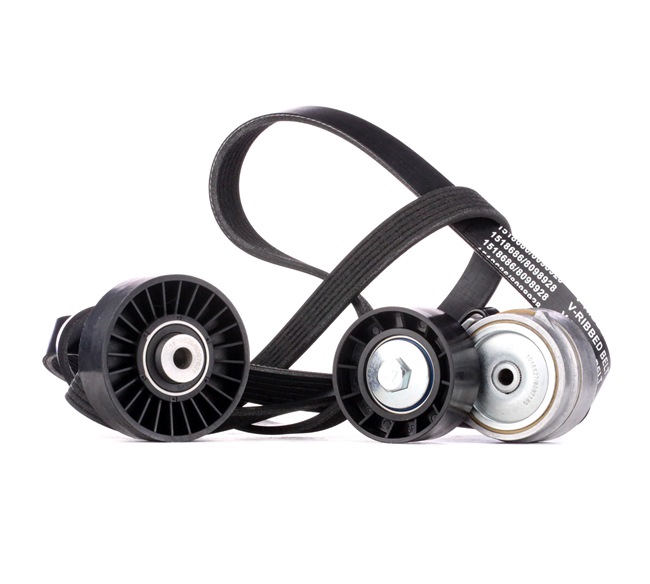 Número OEM 82 00 821 800 - Jogo de correias trapezoidais estriadas 542R0165 RENAULT, NISSAN, DACIA, RENAULT TRUCKS