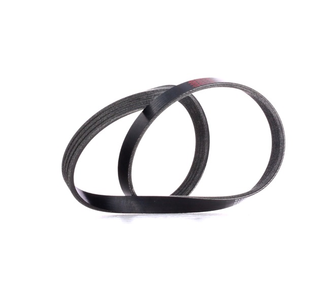 Número OEM 11 28 7 512 762 - Correia trapezoidal estriada SKPB-0090257 BMW, FORD, CITROËN, TOYOTA, NISSAN