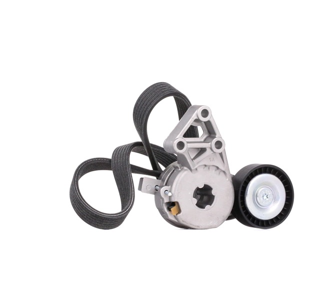 Número OEM 06A 903 315 E - Jogo de correias trapezoidais estriadas 542R0178 VW, AUDI, SEAT, SKODA, PORSCHE