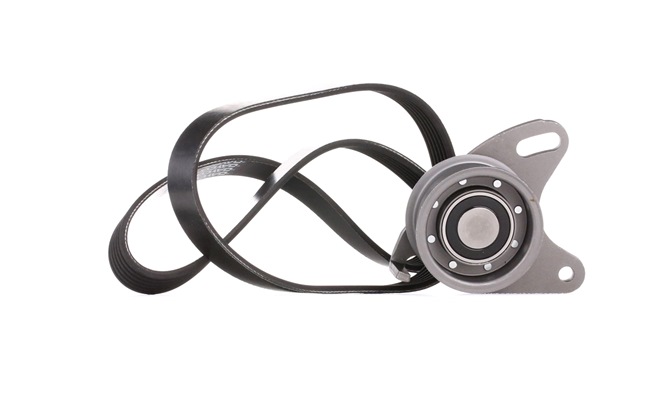 order STARK (SKRBS-1200186) V-Ribbed Belt Set