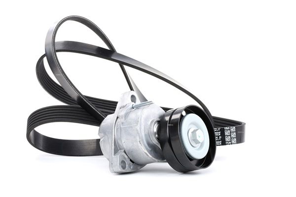 Número OEM 964 351 38 - Jogo de correias trapezoidais estriadas 542R0188 OPEL, NISSAN, KIA, CHEVROLET, CHRYSLER