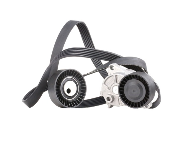 RIDEX | Kit de correias trapezoidais estriadas 542R0198 BMW 3 Coupe (E46) 2006 baratos online