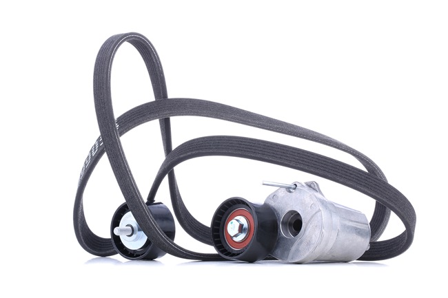 Jogo de correias trapezoidais estriadas 542R0202 RIDEX BMW 1 Coupe (E82) 123 d 2010 204 cv