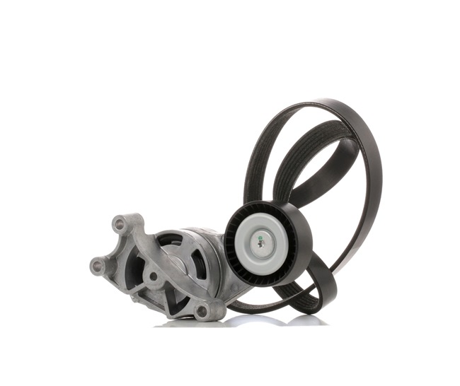 OEM-Nummer 06F 260 849 L - Keilrippenriemensatz 542R0211 VW, AUDI, RENAULT, SKODA, CITROËN