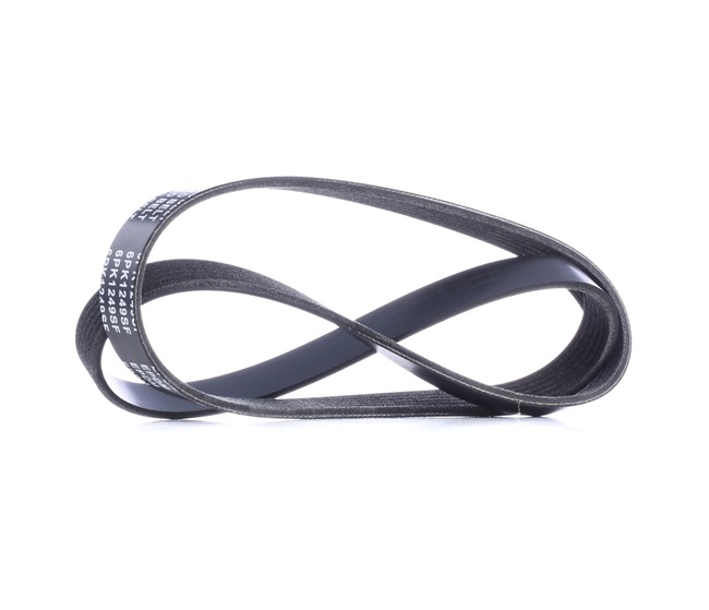 Keilrippenriemen 305P0409 RIDEX BM5E6C301AA Elastic