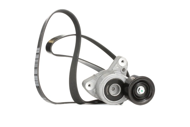 542R0239 RIDEX 31170PNA023 V-Ribbed Belt Set