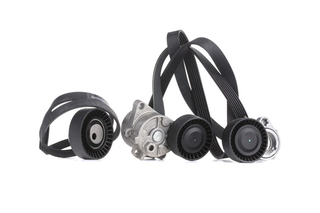 RIDEX 542R0244 Poly v-belt kit BMW 5 Saloon (E39) 520i 2.2 170 hp Petrol 2003