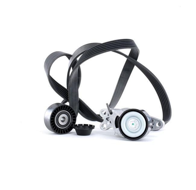 STARK SKRBS-1200250 poly v-belt kit PEUGEOT 206 Hatchback (2A/C) 1.1 i 60hp 1999