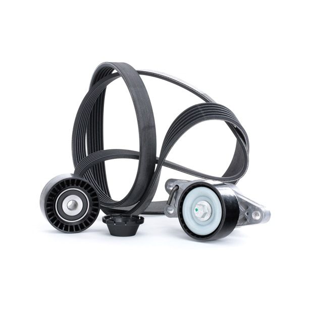 Número OEM 5750 YR - Jogo de correias trapezoidais estriadas 542R0251 VW, PEUGEOT, OPEL, AUDI, FORD