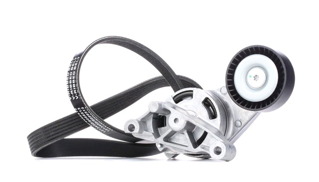 Numéro OEM 03G 903 315 A - Jeu de courroies trapézoïdales à nervures 542R0256 AUDI, SEAT, SKODA, PORSCHE