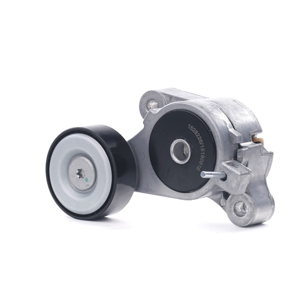 RIDEX | Rullo tenditore cinghia poly-v 310T0309 Volkswagen Touran I (1T1, 1T2) 2010 economici online