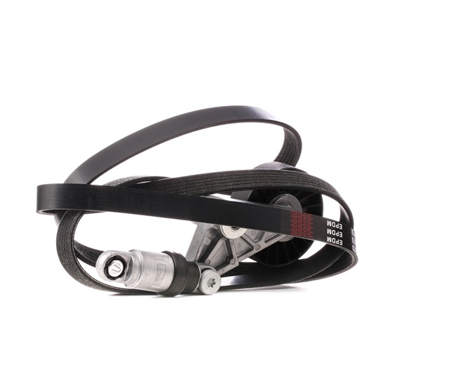 Número OEM 25 183 021 - Jogo de correias trapezoidais estriadas SKRBS-1200286 BMW, VW, MERCEDES-BENZ, OPEL, AUDI