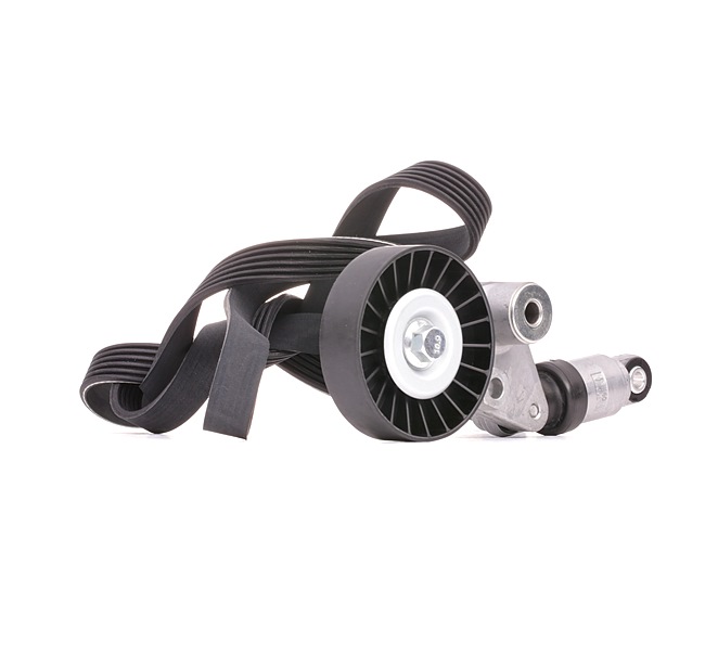 Numero OEM 25 183 021 - Kit Cinghie Poly-V 542R0287 BMW, MERCEDES-BENZ, AUDI, OPEL, TOYOTA
