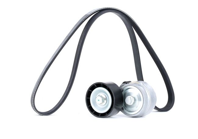 RIDEX 542R0295 Serpentine belt ALFA ROMEO 145 (930) 1.9 JTD 105 hp Diesel 1999