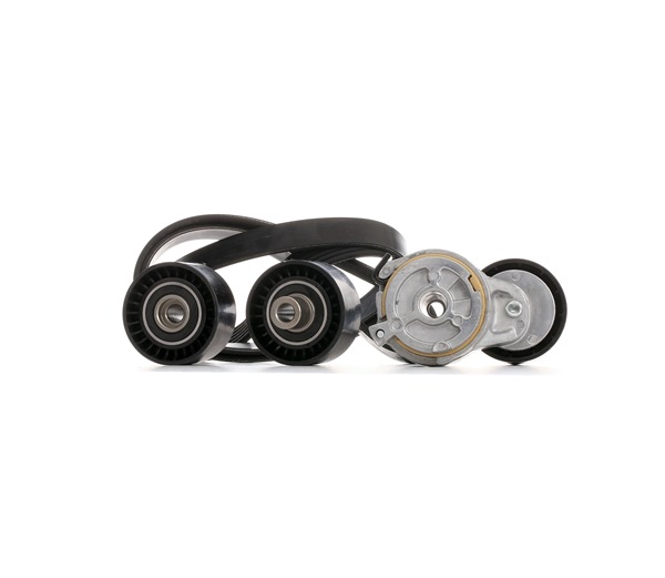 STARK SKRBS-1200296 poly v-belt kit PEUGEOT 206 Hatchback (2A/C) 1.4 HDi 69hp 2004