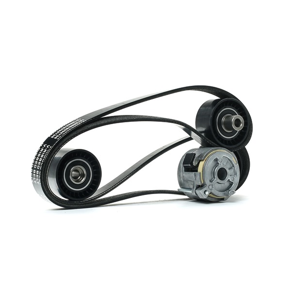 Jogo de correias trapezoidais estriadas 542R0297 RIDEX CITROËN C5 III Carrinha (RW) 1.6 HDi 2010 109 cv