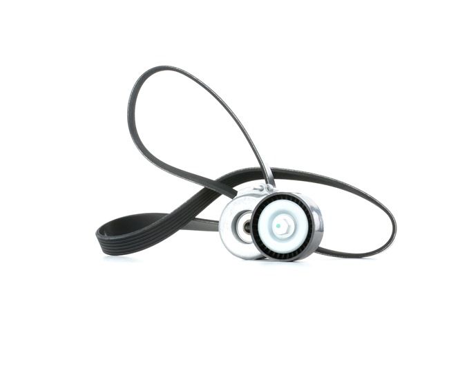 Número OEM 5750 GG - Jogo de correias trapezoidais estriadas SKRBS-1200298 RENAULT, BMW, VW, PEUGEOT, OPEL