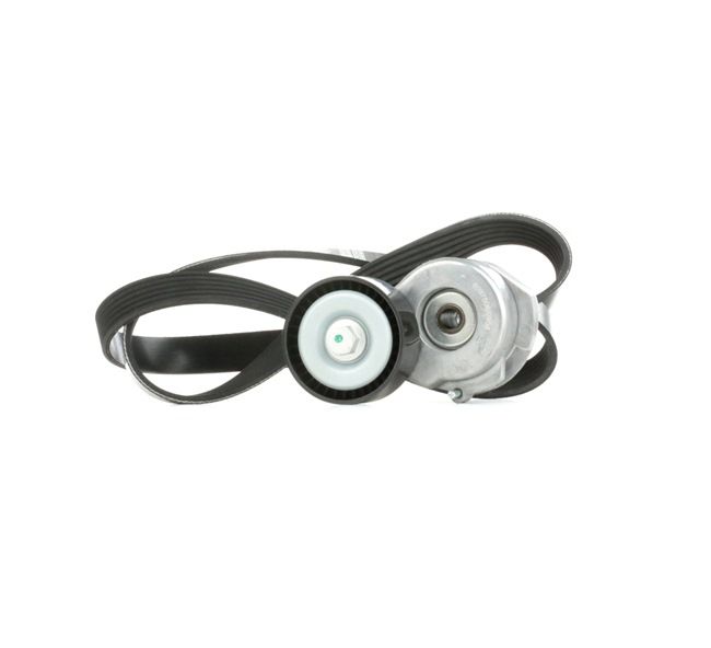 Número OEM 5750 GG - Jogo de correias trapezoidais estriadas 542R0299 RENAULT, BMW, VW, PEUGEOT, OPEL