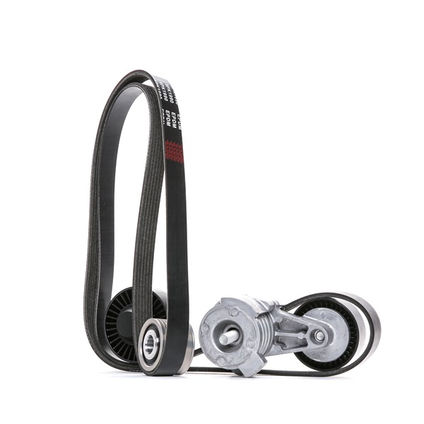Jogo de correias trapezoidais estriadas 542R0309 RIDEX BMW X3 (E83) 2.5 si 2008 218 cv