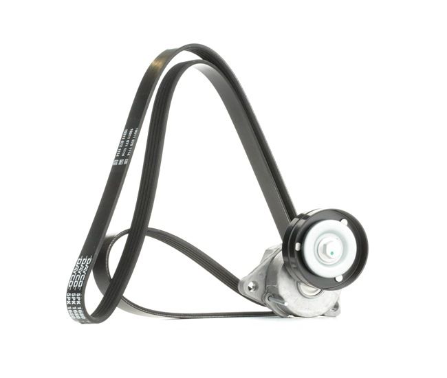 Número OEM 964 351 38 - Jogo de correias trapezoidais estriadas 542R0319 OPEL, NISSAN, KIA, CHEVROLET, CHRYSLER