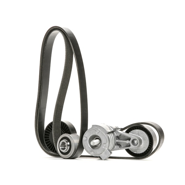 Jogo de correias trapezoidais estriadas 542R0320 RIDEX BMW 5 Touring (E61) 523i 2.5 2007 177 cv