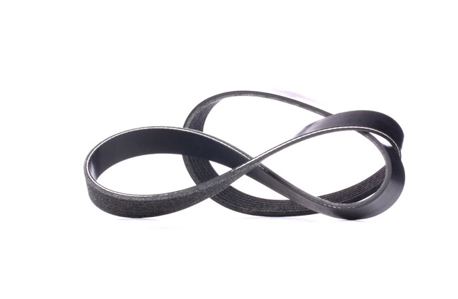 Correia trapezoidal estriada 305P0419 RIDEX BMW 1 Hatchback (E81) 116 i 2008 115 cv
