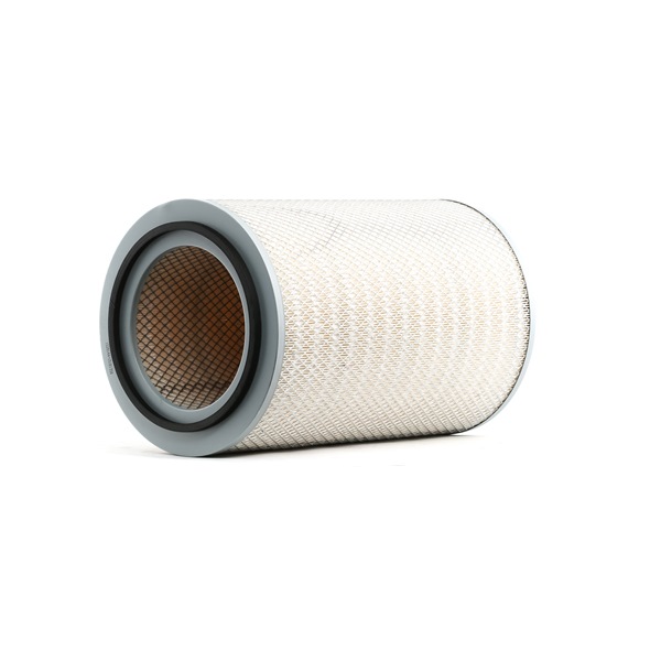 8A0934 RIDEX 30945004 Air filter