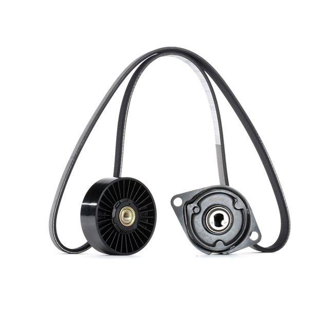 Kit Cinghie Poly-V SKRBS-1200336 STARK Volkswagen Transporter T4 Bus (70B, 70C, 7DB, 7DK, 70J, 70K, 7DC, 7DJ) 1.9 D 1991 61 CV