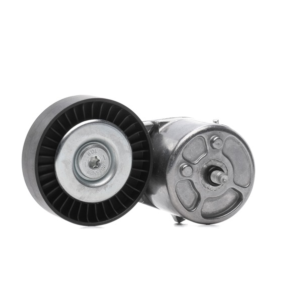 acquisto RIDEX (310T0316) Rullo tenditore cinghia Poly-V