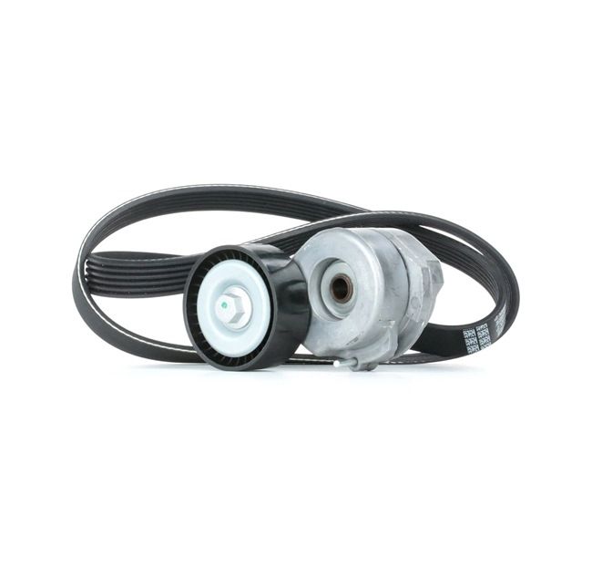 Keilrippenriemensatz SKRBS-1200341 STARK FIAT Idea (350) 1.3 D Multijet 2014 90 PS