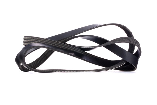 Correia trapezoidal estriada 305P0424 RIDEX BMW 3 Sedan (E46) 320 d 2001 150 cv