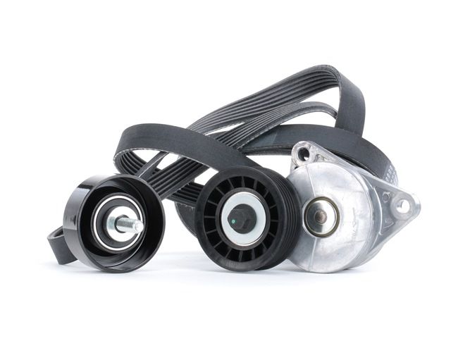 Número OEM 97BB 6A228 AG - Jogo de correias trapezoidais estriadas SKRBS-1200374 FORD, MAZDA, FORD USA