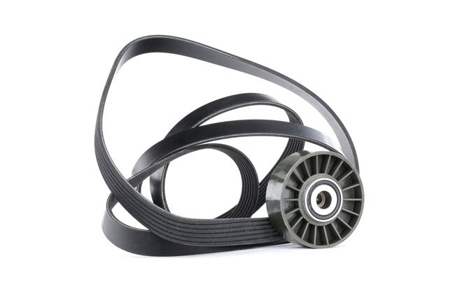 buy RIDEX (542R0379) V-Ribbed Belt Set