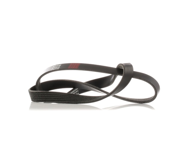 Serpentine belt 305P0428 RIDEX 11920 6J900 AUDI, NISSAN, SKODA, CITROËN, FIAT