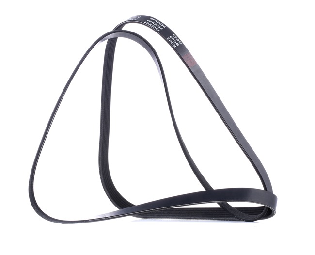 Aandrijfriem 305P0430 RIDEX CHRYSLER 300C Touring (LX, LE) 3.5 2010 249 Pk